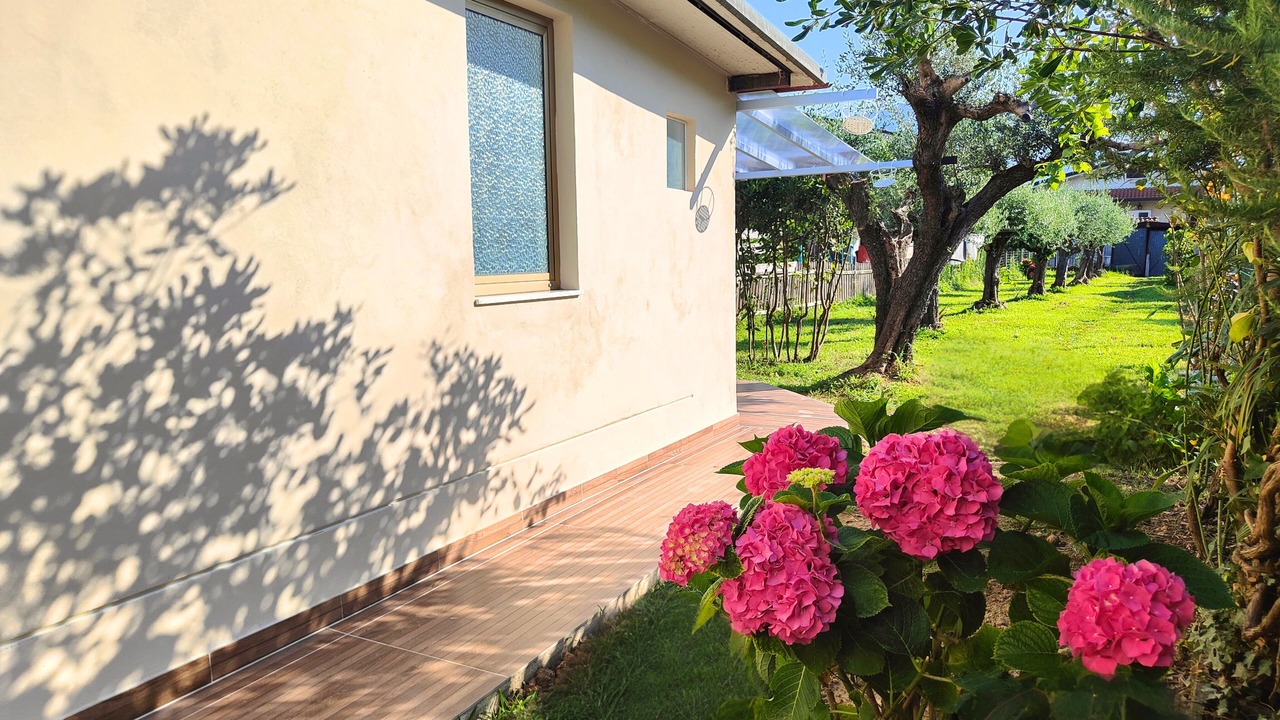 Photo of Outdoor in Massa