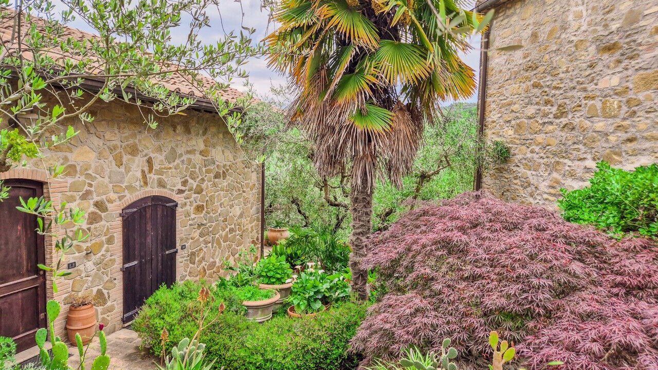Photo of Outdoor in Bettona