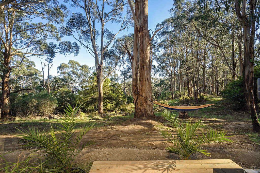 Photo of Outdoor in Yinnar South