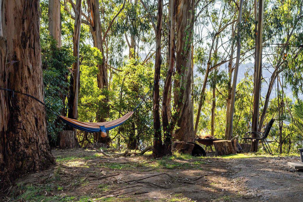 Photo of Outdoor in Yinnar South