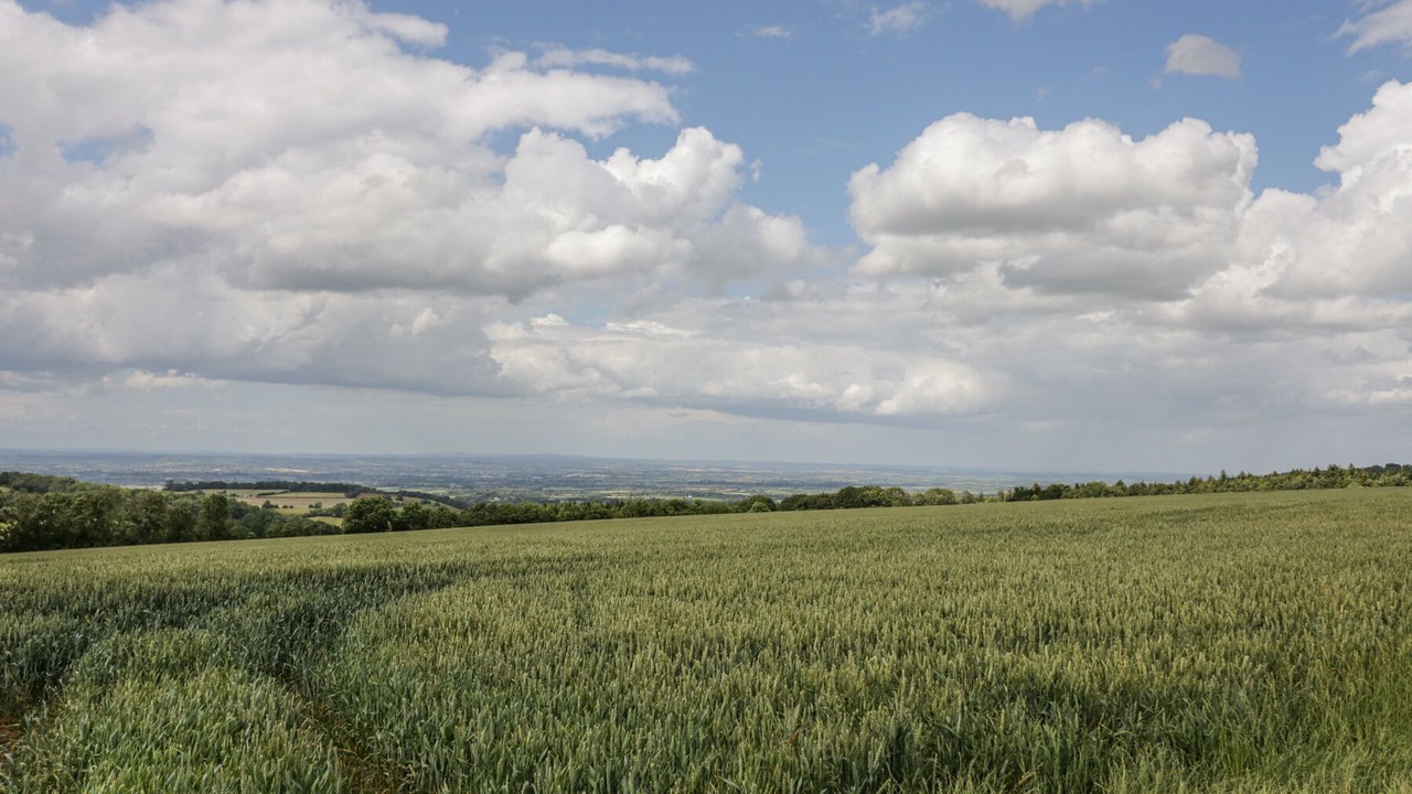 Photo of Others in Evesham