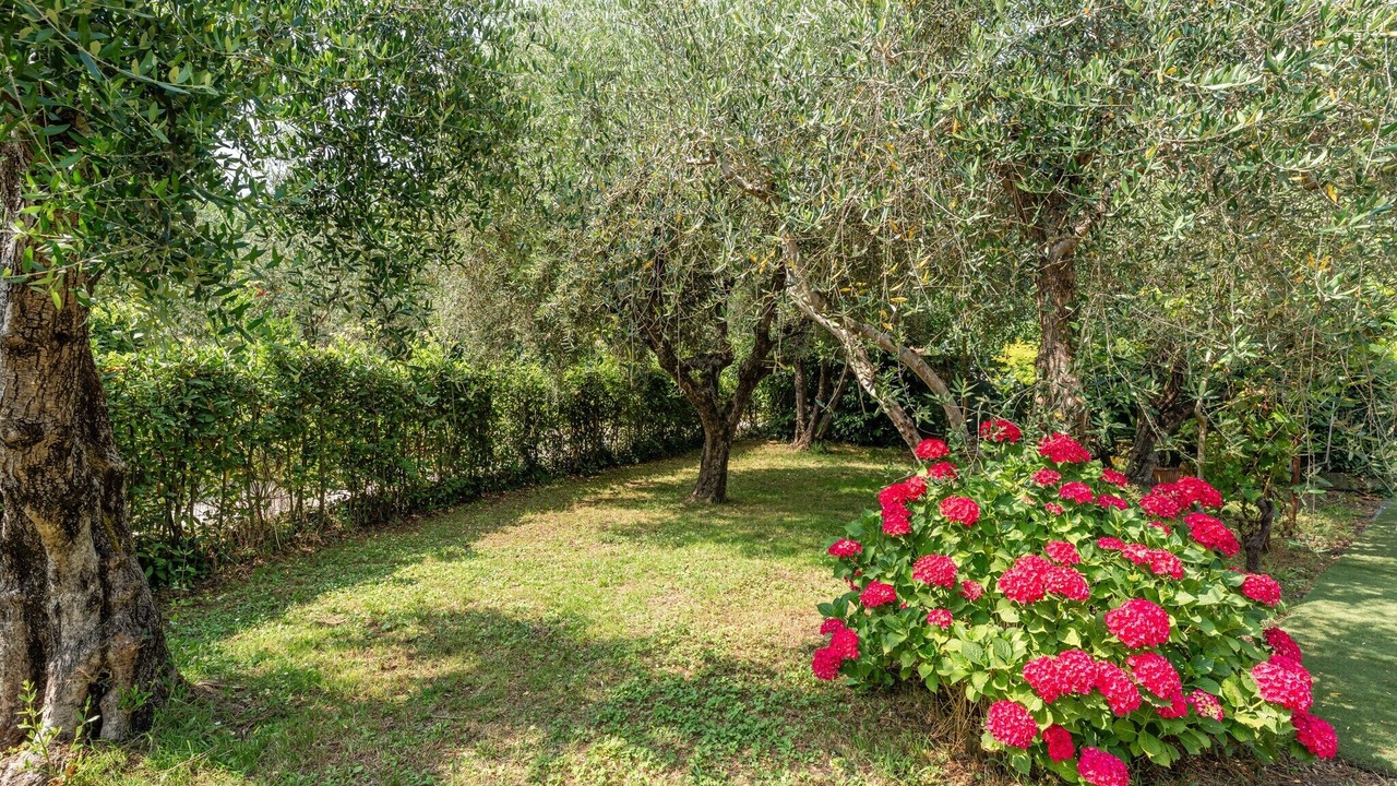 Photo of Outdoor in Capannori