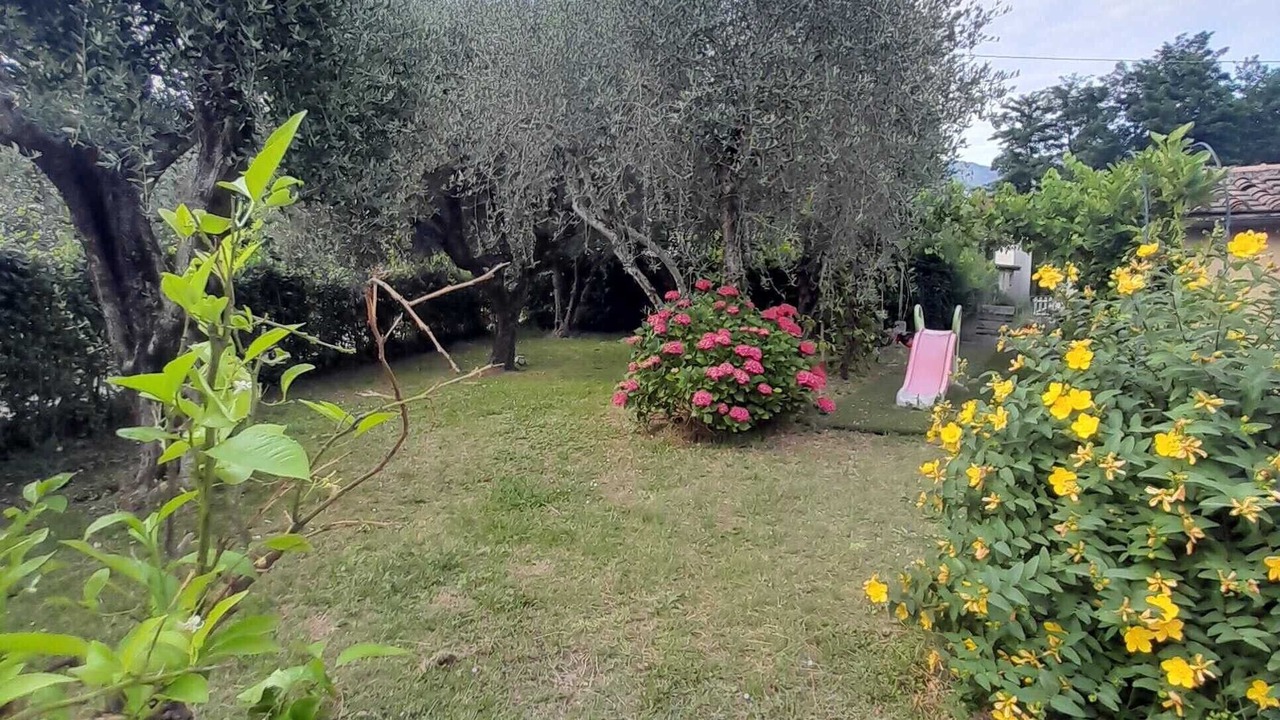 Photo of Outdoor in Capannori