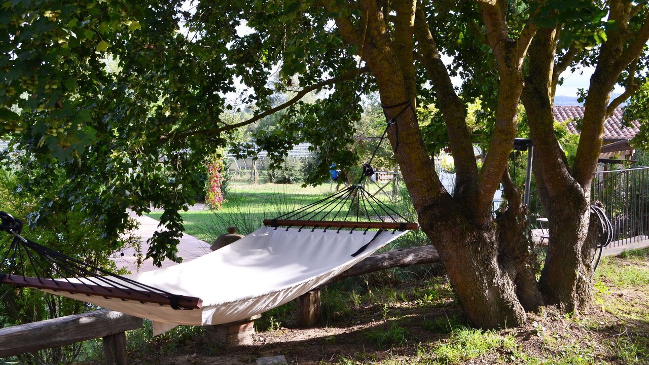 Photo of Outdoor in Monteleone d'Orvieto