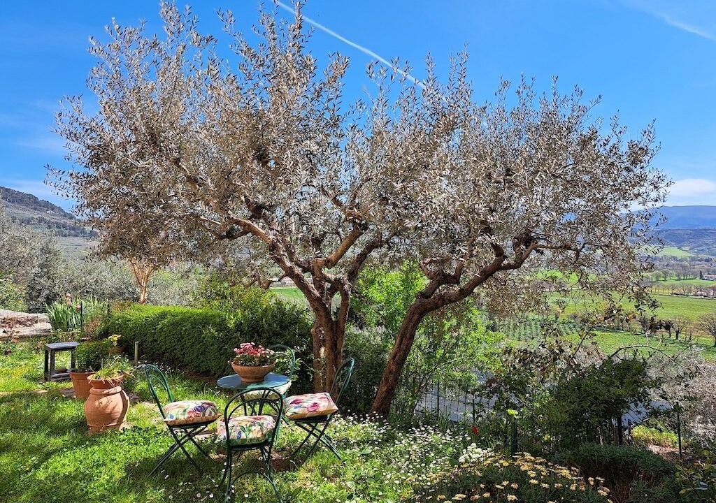 Photo of Outdoor in Spello