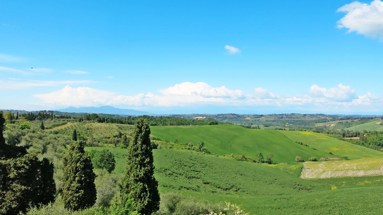 Photo of Outdoor in Lajatico