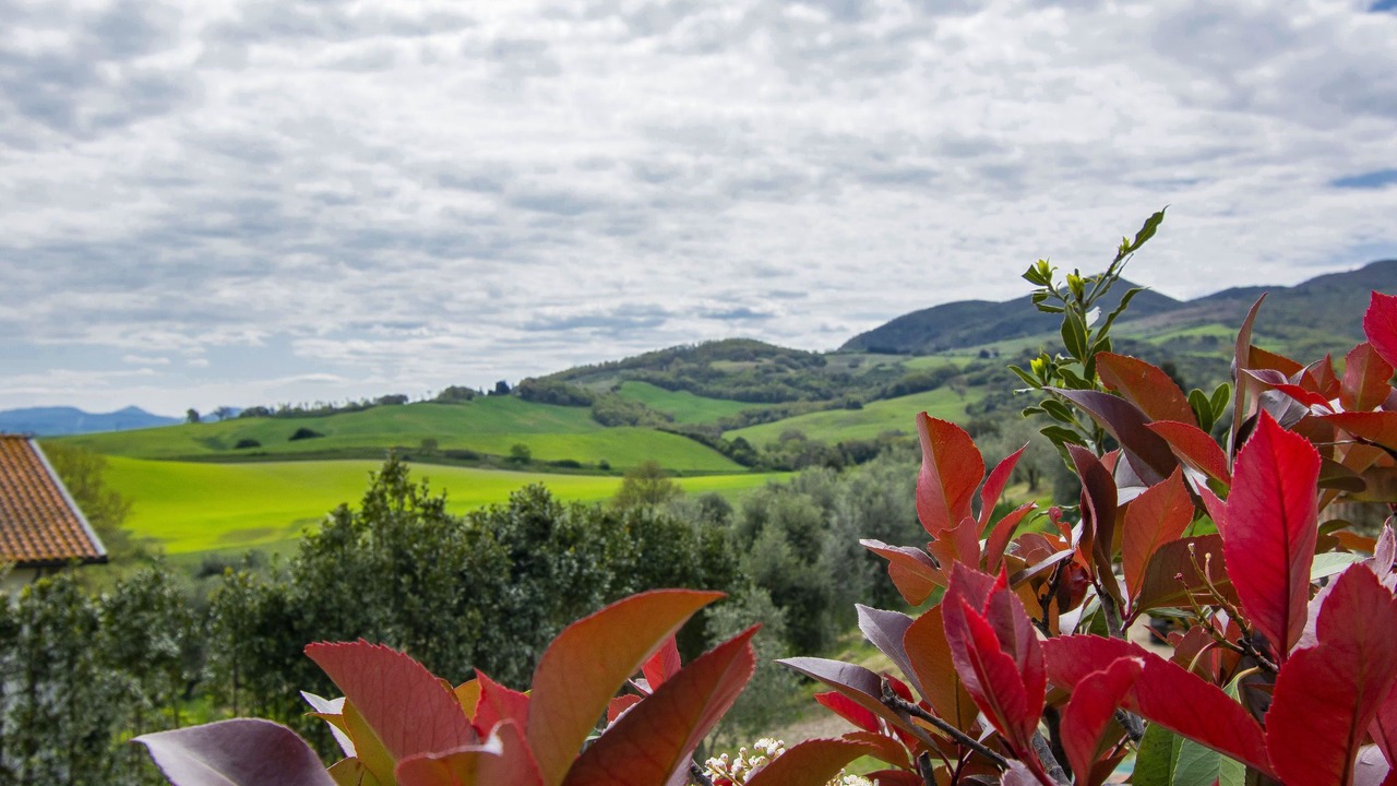 Photo of Others in Lajatico