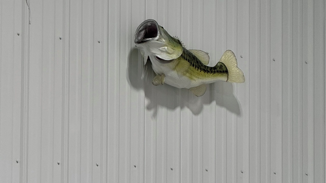 Photo of Others in Oak Harbor