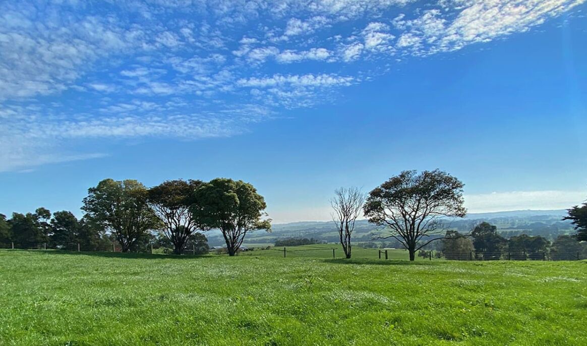 Photo of Others in Poowong