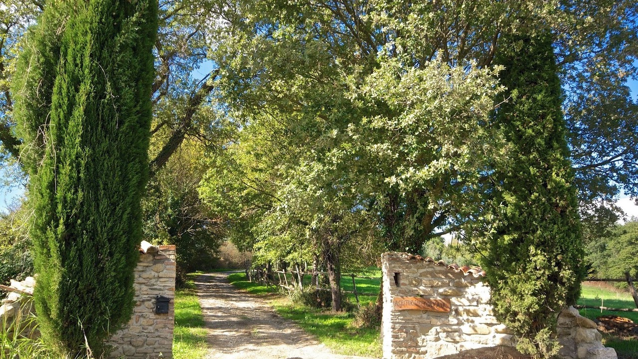 Photo of Outdoor in Il Poggio
