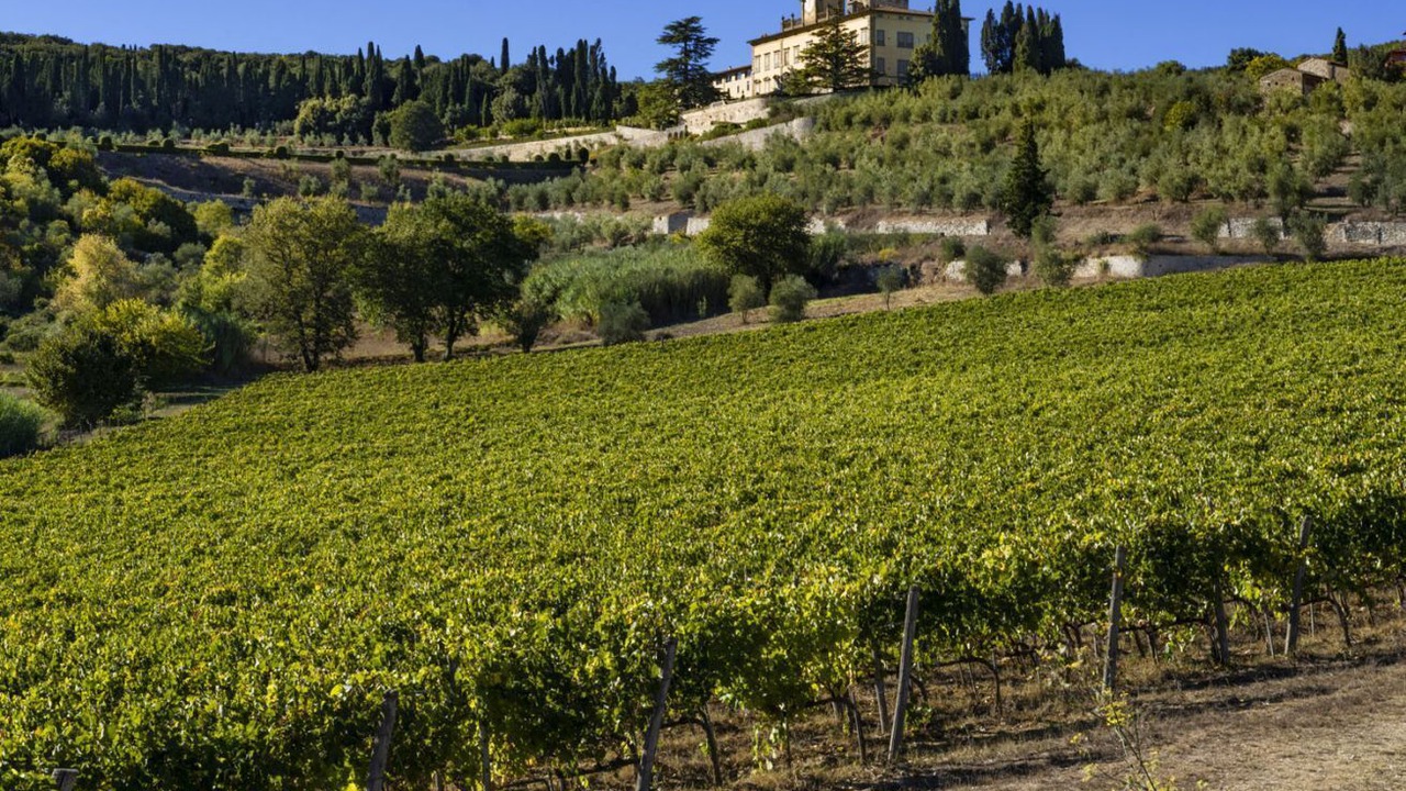 Photo of Others in San Donato in Collina