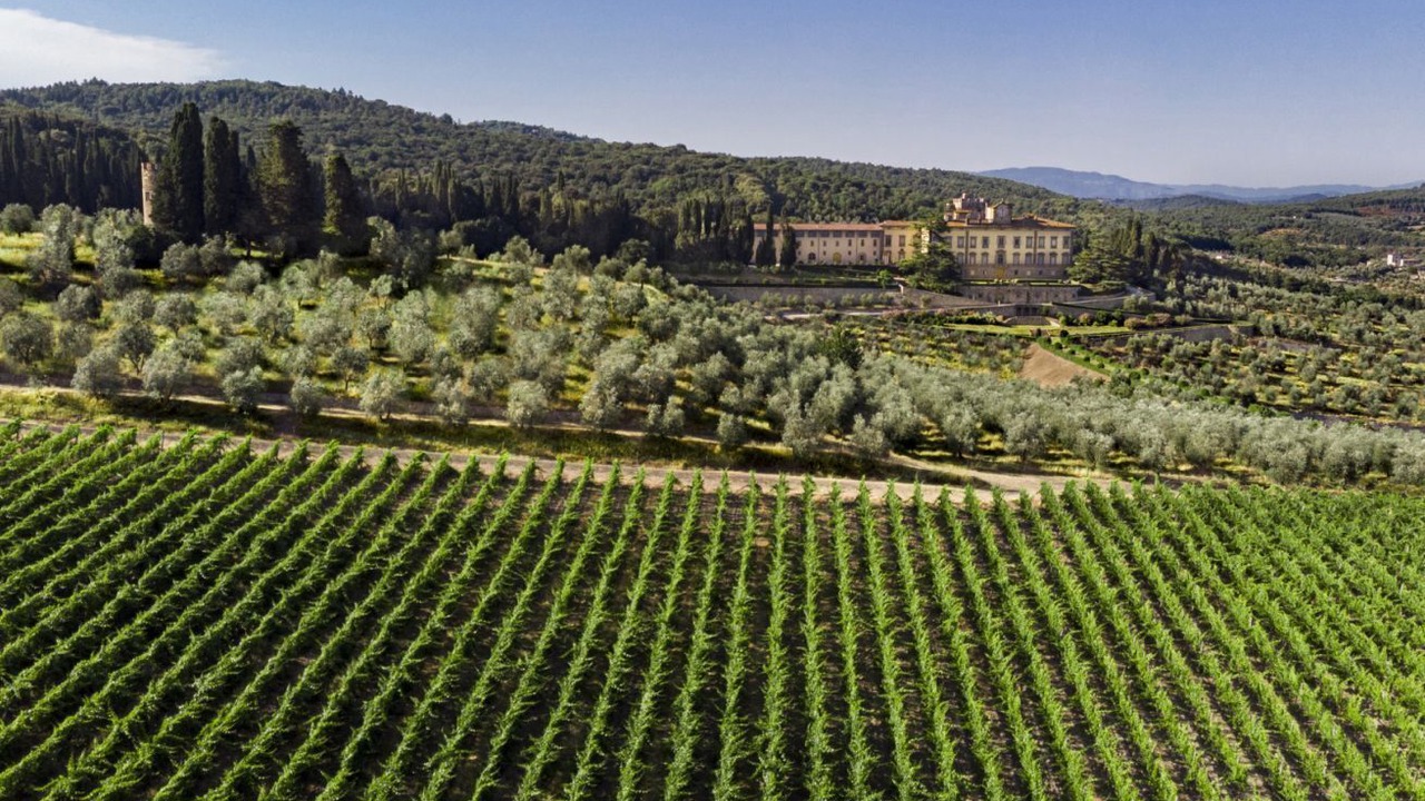 Photo of Others in San Donato in Collina
