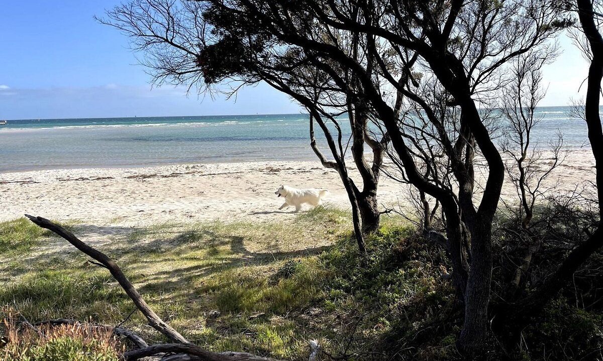 Photo of Others in Capel Sound