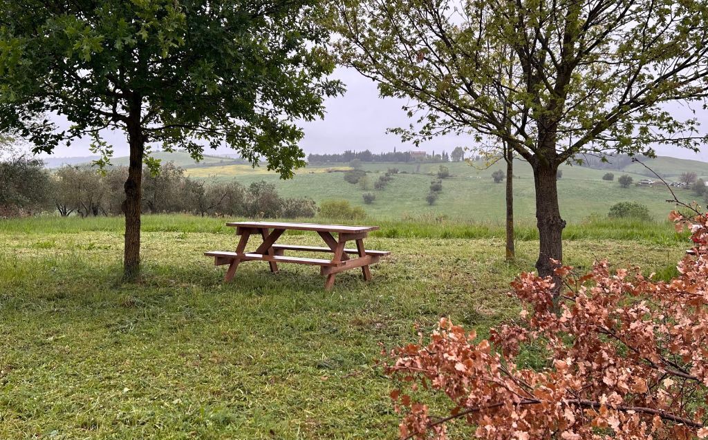 Photo of Outdoor in Manciano