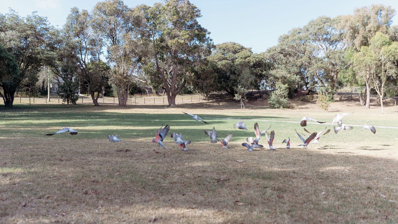 Photo of Others in Cape Paterson