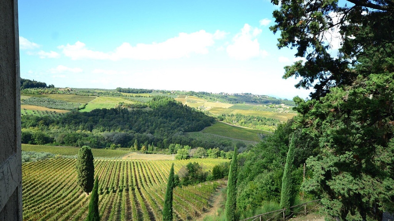 Photo of Others in San Casciano in Val di Pesa