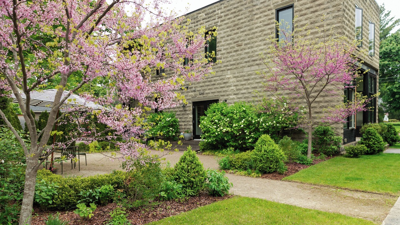 Photo of Outdoor in Traverse City