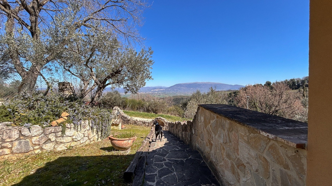 Photo of Outdoor in Bettona