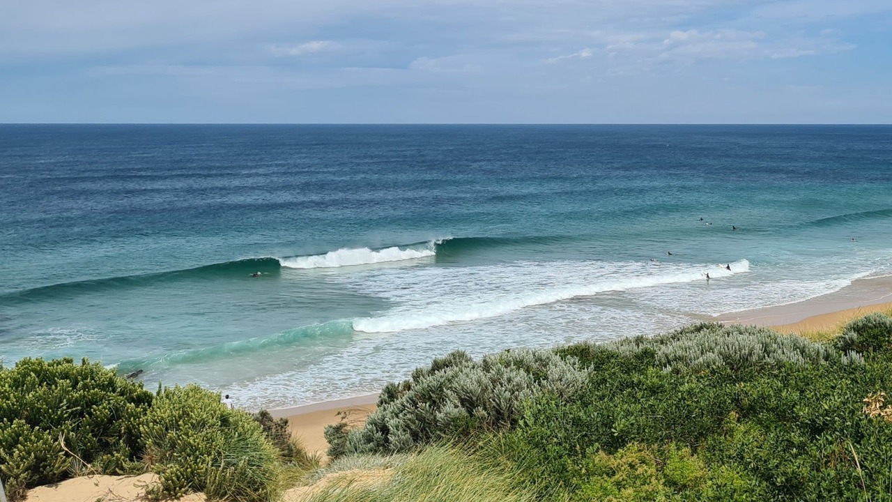 Photo of Others in Wattle Bank