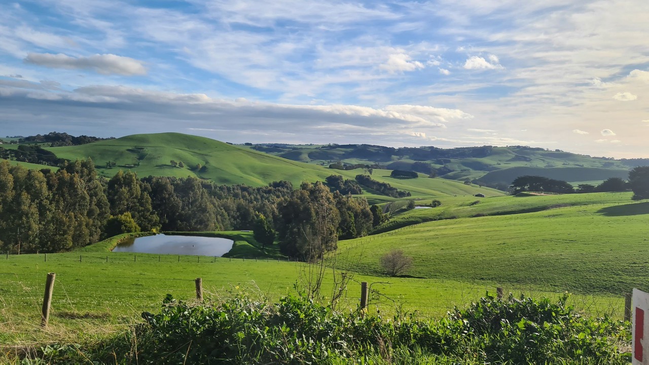 Photo of Others in Wattle Bank