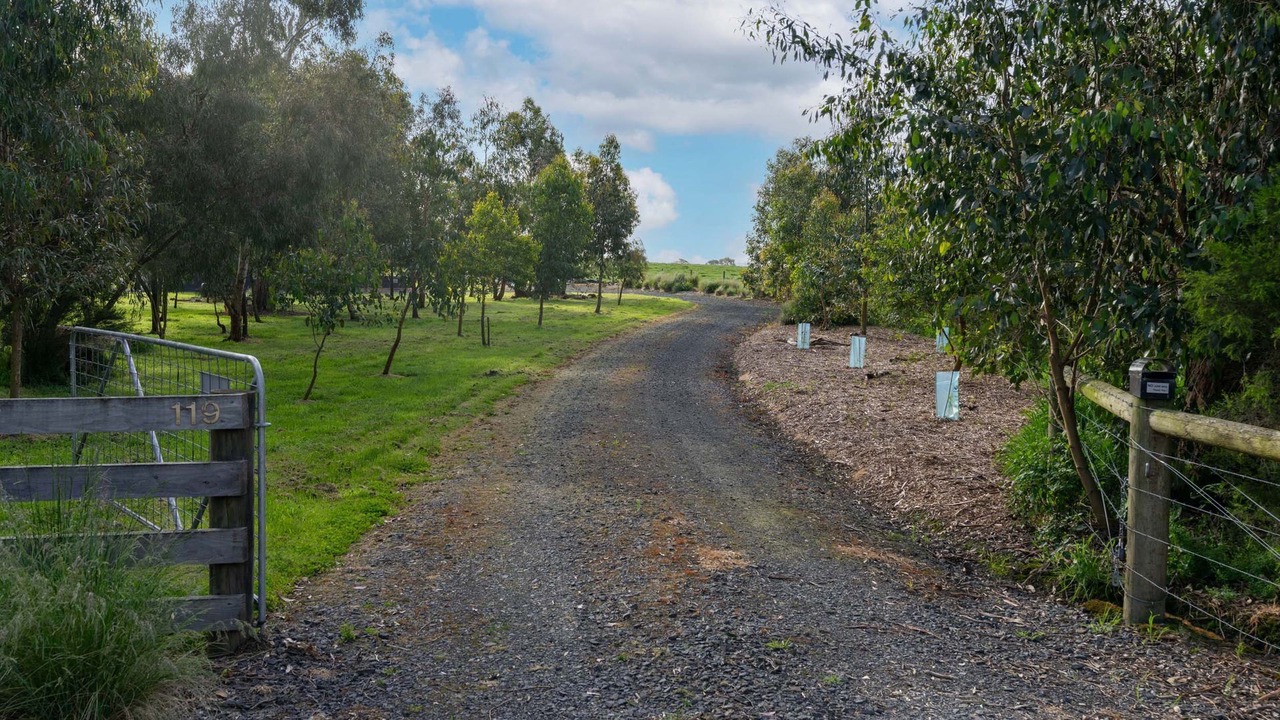 Photo of Others in Wattle Bank