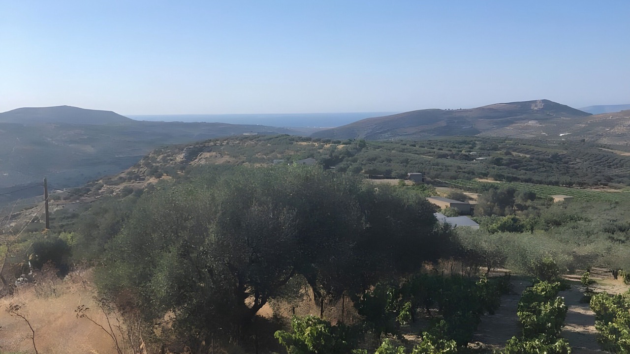 Photo of Others in Episkopi