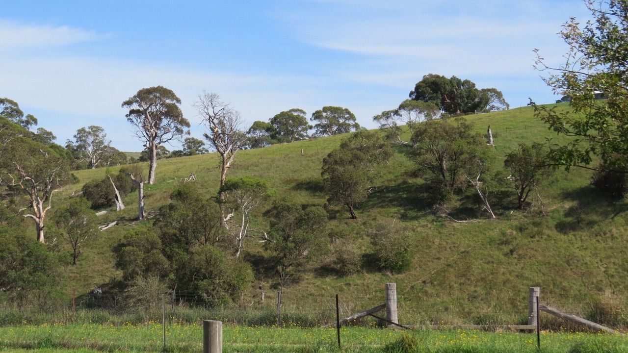 Photo of Others in Bombala
