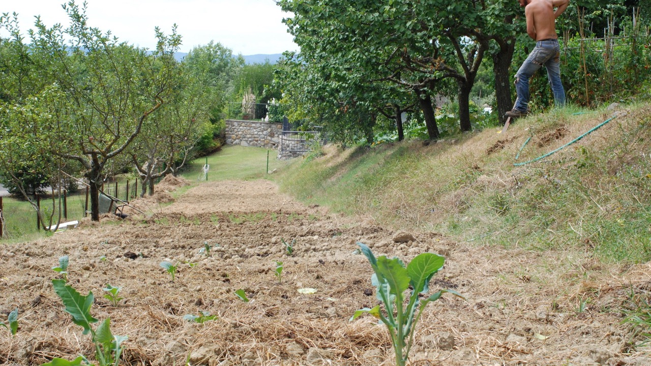 Photo of Others in Ficulle