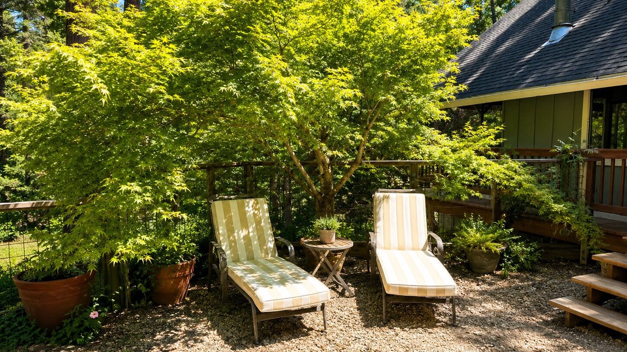 Photo of Patio Balcony in Glencoe