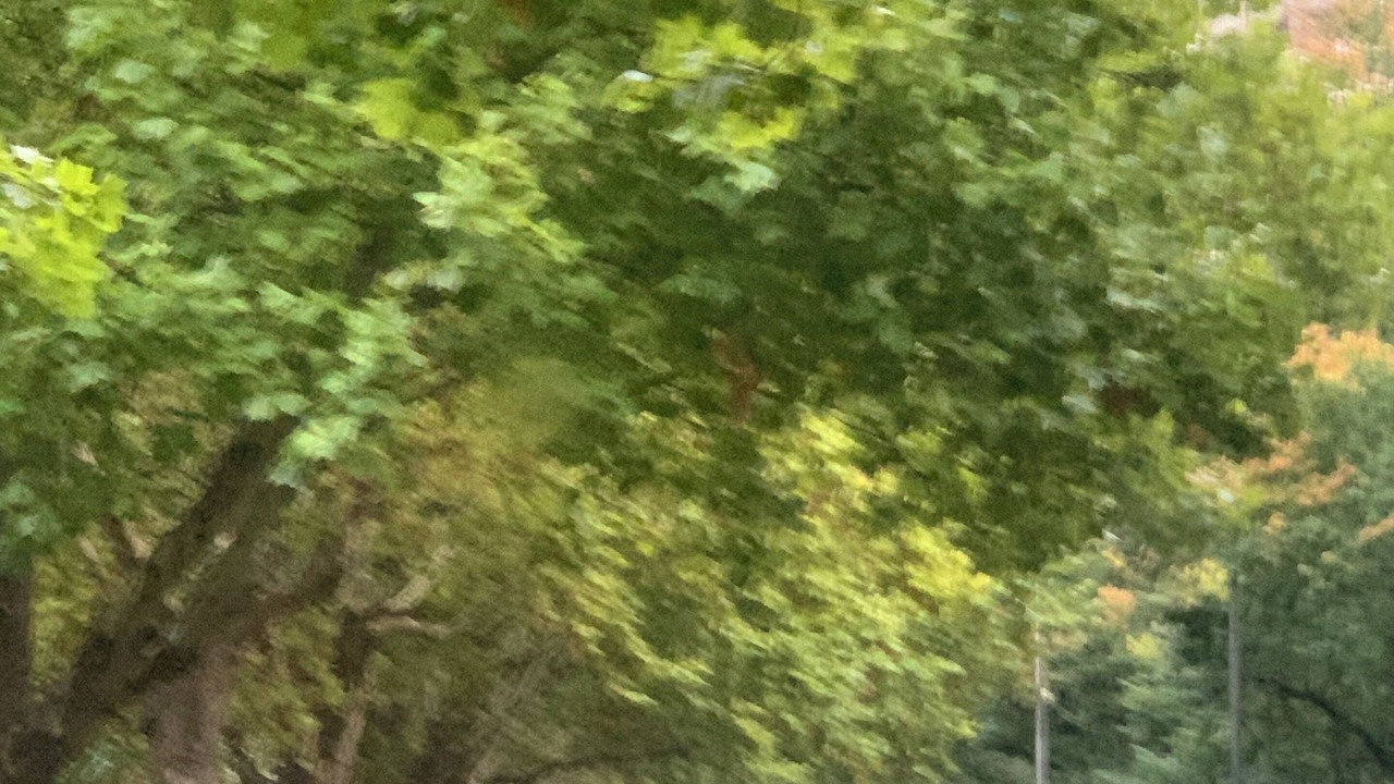 Photo of Others in East Melbourne