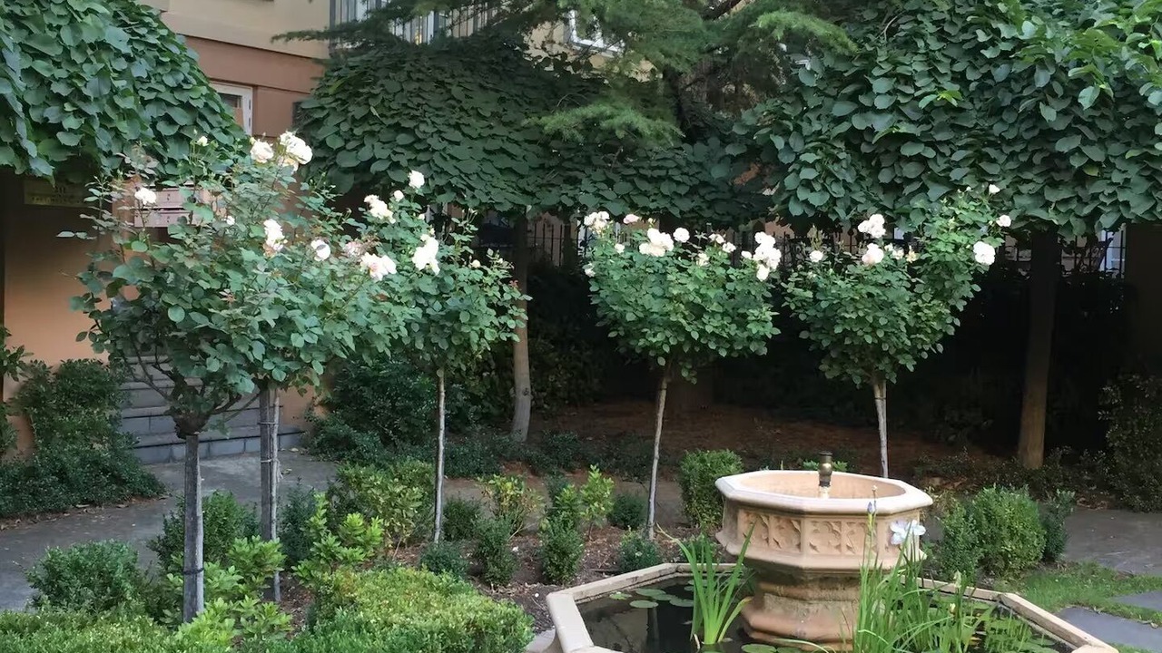 Photo of Outdoor in East Melbourne