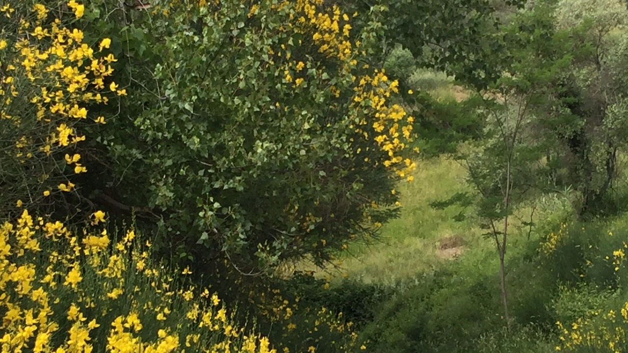 Photo of Outdoor in Poggio Alla Croce