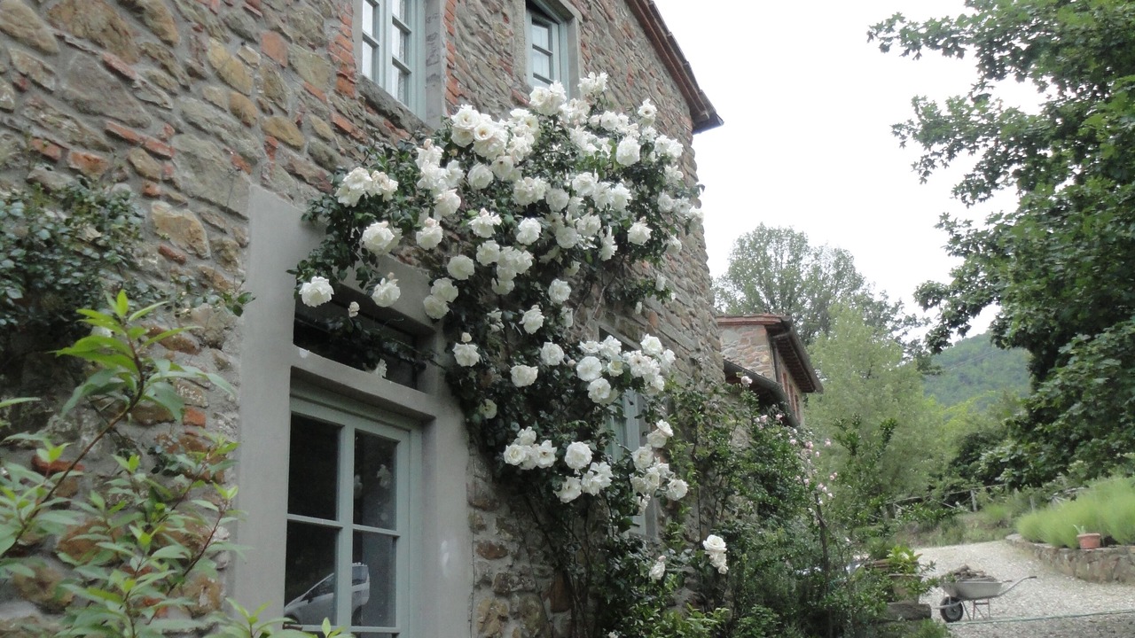 Photo of Outdoor in Poggio Alla Croce