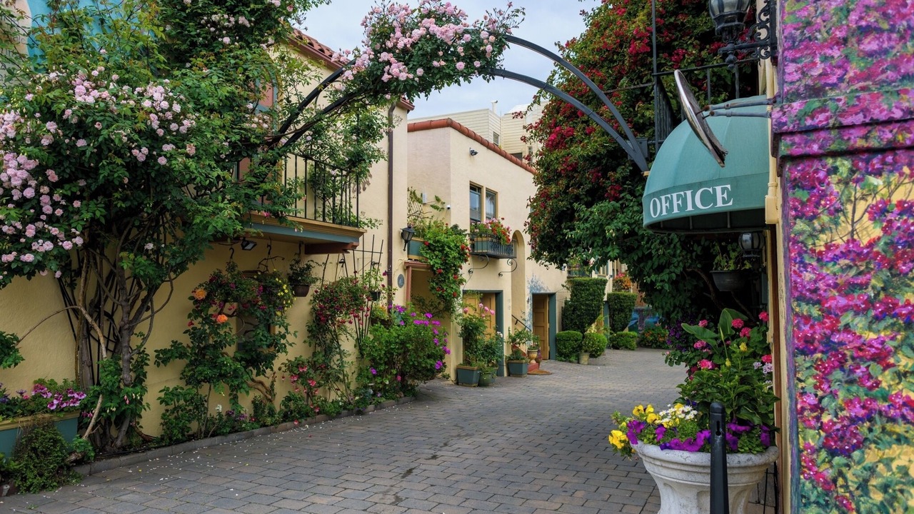Photo of Outdoor in Marina District