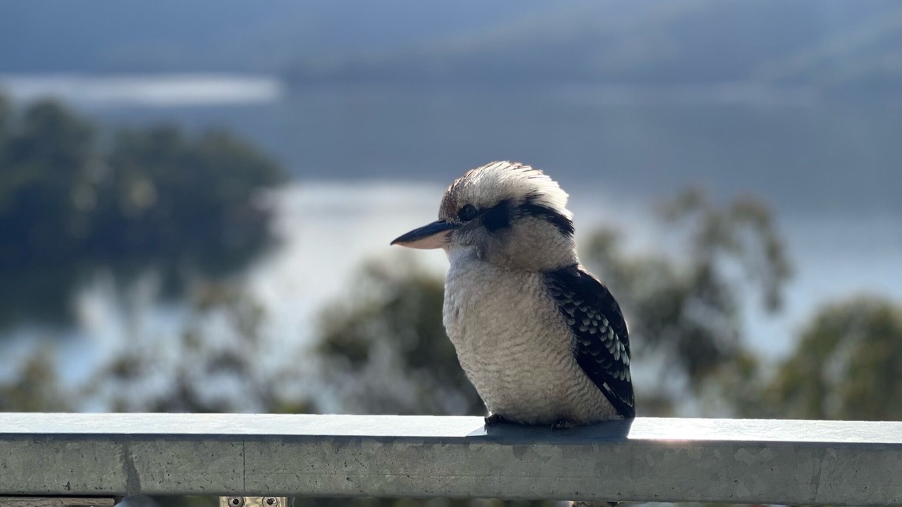 Photo of Others in Taylor Bay
