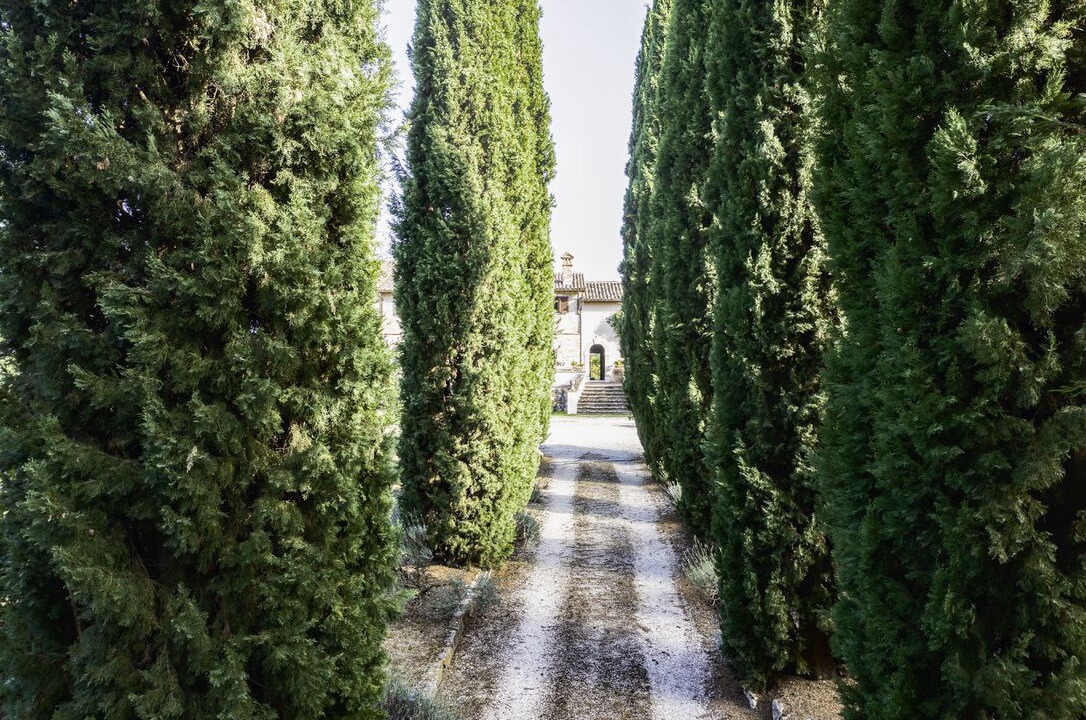 Photo of Outdoor in Todi