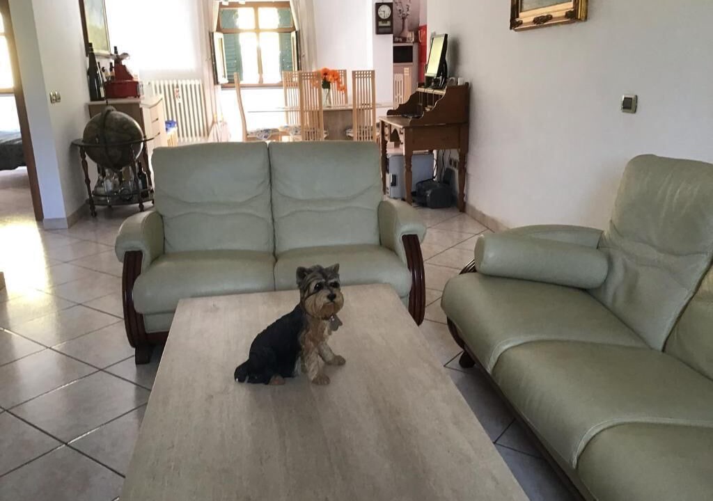 Photo of Others in Monsummano Terme