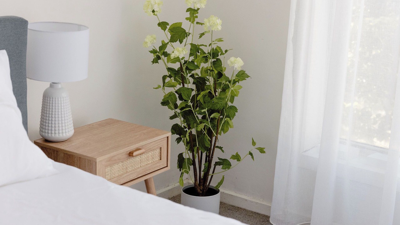 Photo of Bedroom in Cape Paterson