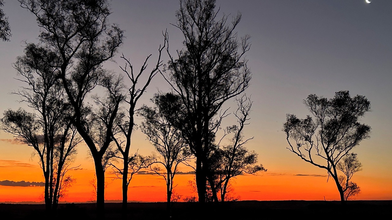 Photo of Others in Orbost