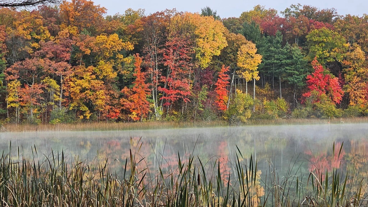 Photo of Others in Baldwin