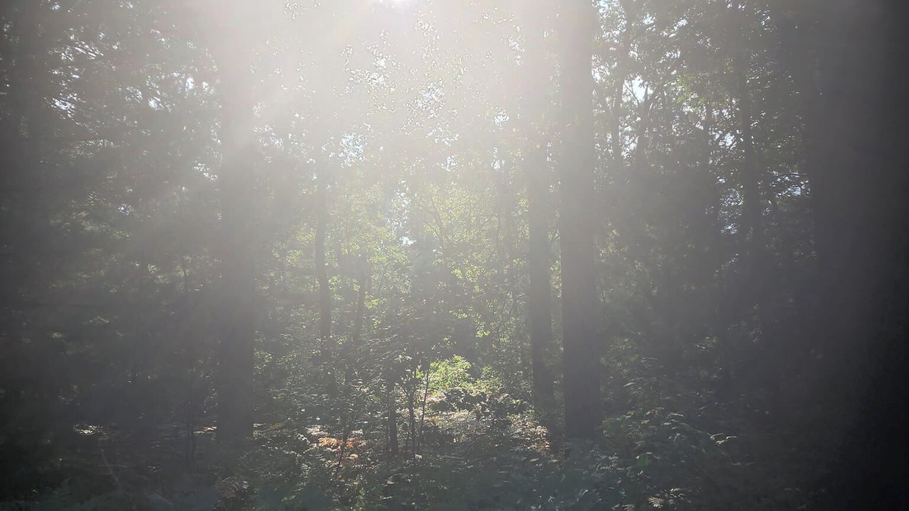 Photo of Others in Baldwin