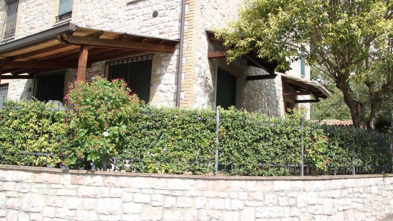 Photo of Outdoor in Assisi