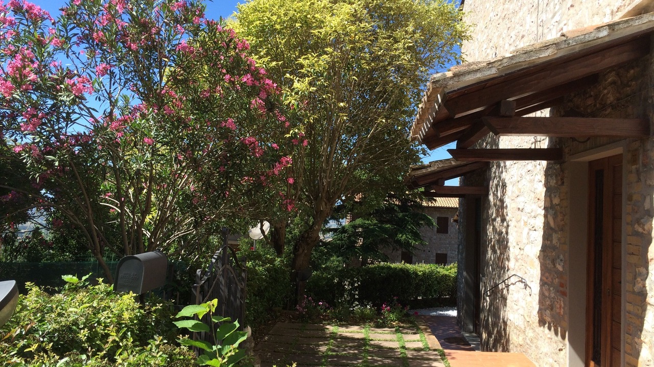 Photo of Outdoor in Assisi