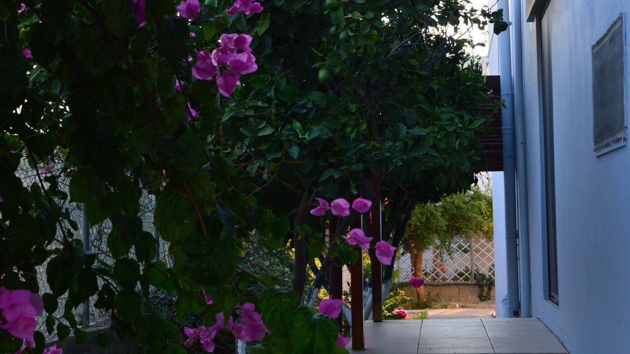 Photo of Outdoor in Karteros