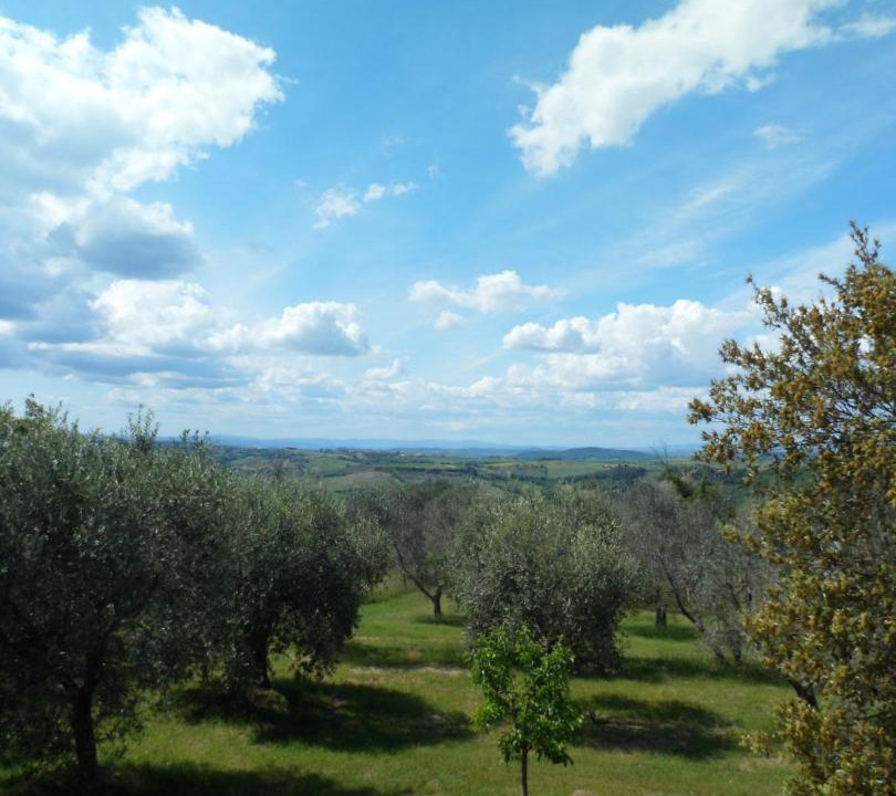 Photo of Others in Monticchiello