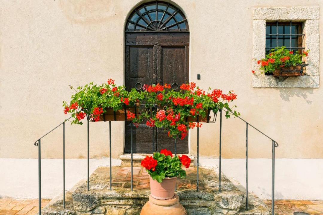Photo of Others in Castiglione d'Orcia