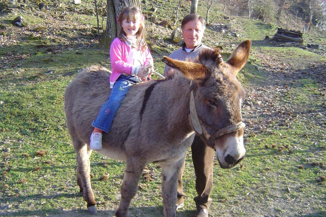 Photo of Others in Arcidosso