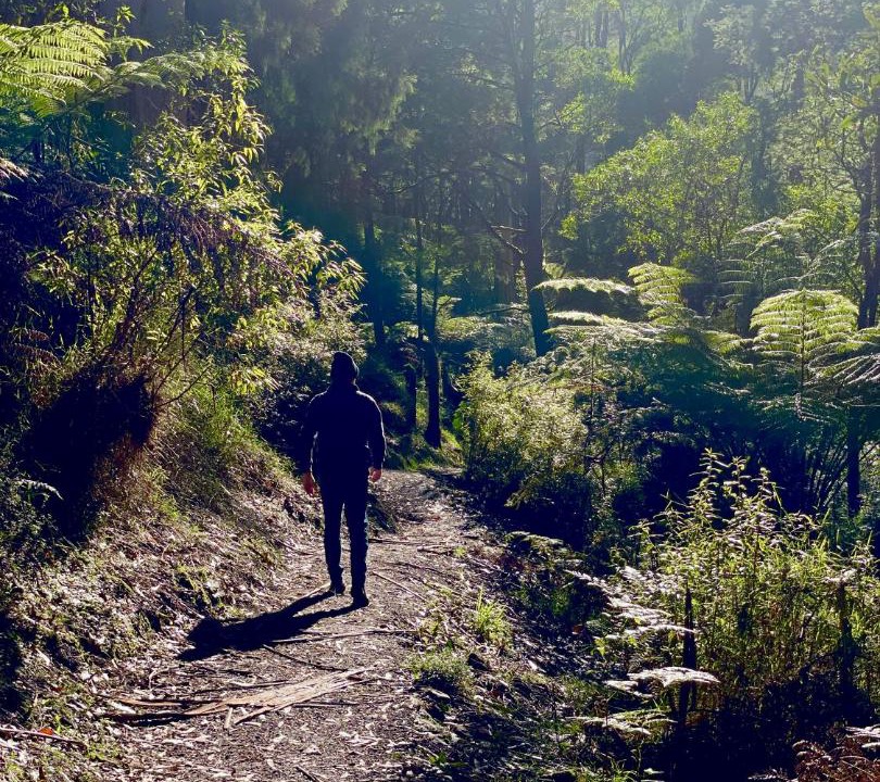 Photo of Others in Yarragon South