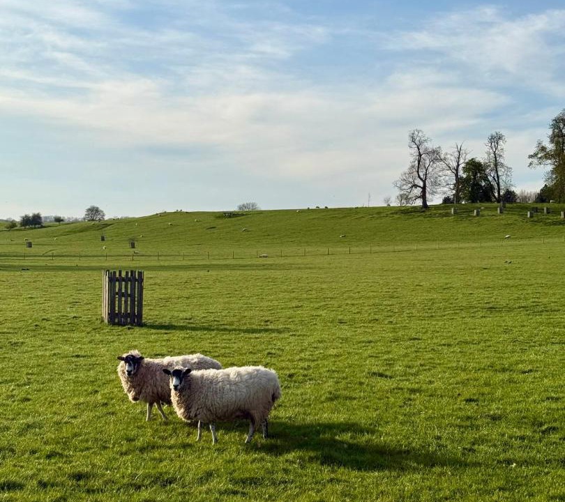 Photo of Others in Alcester