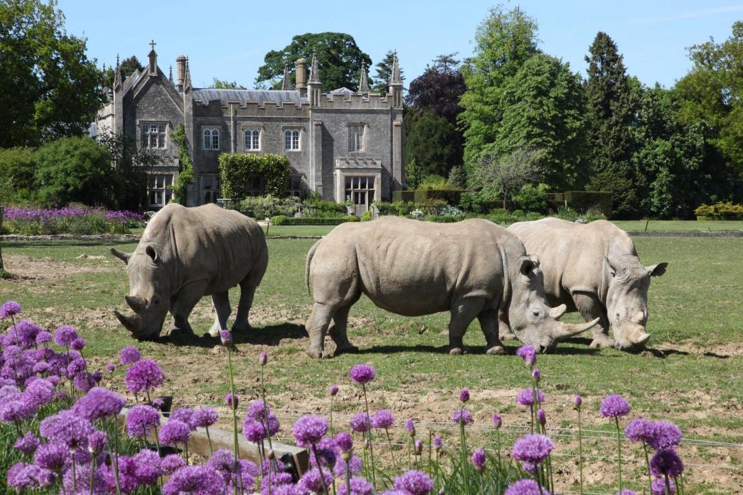 Photo of Others in Bourton